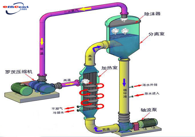 MVR-1.jpg